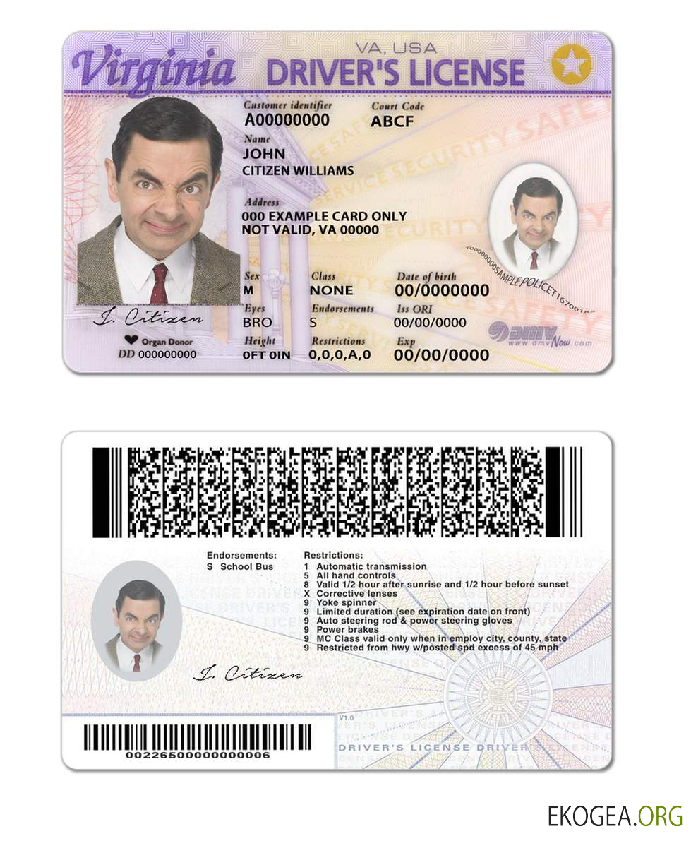 Usa Virginia template